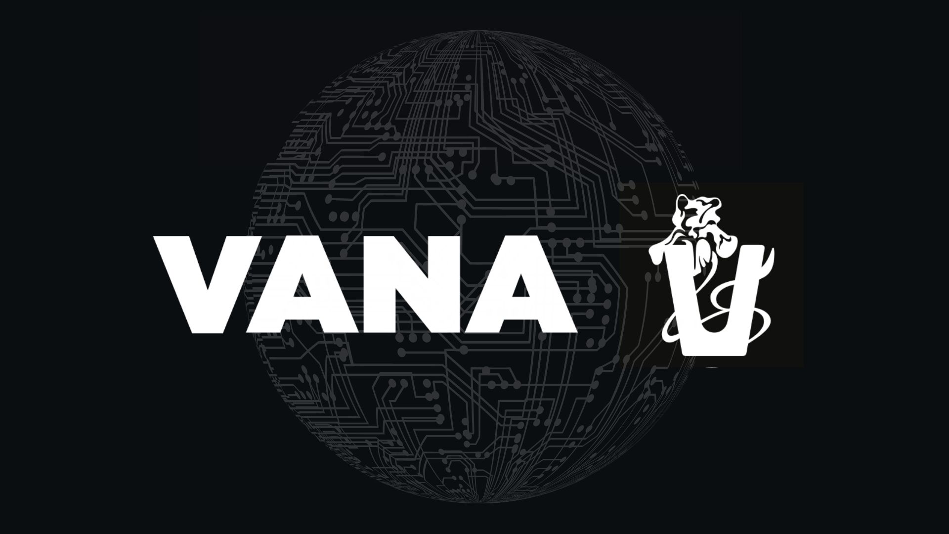 vana coin