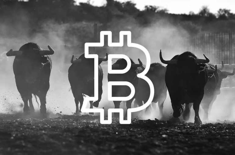 bitcoin boğa btc bull
