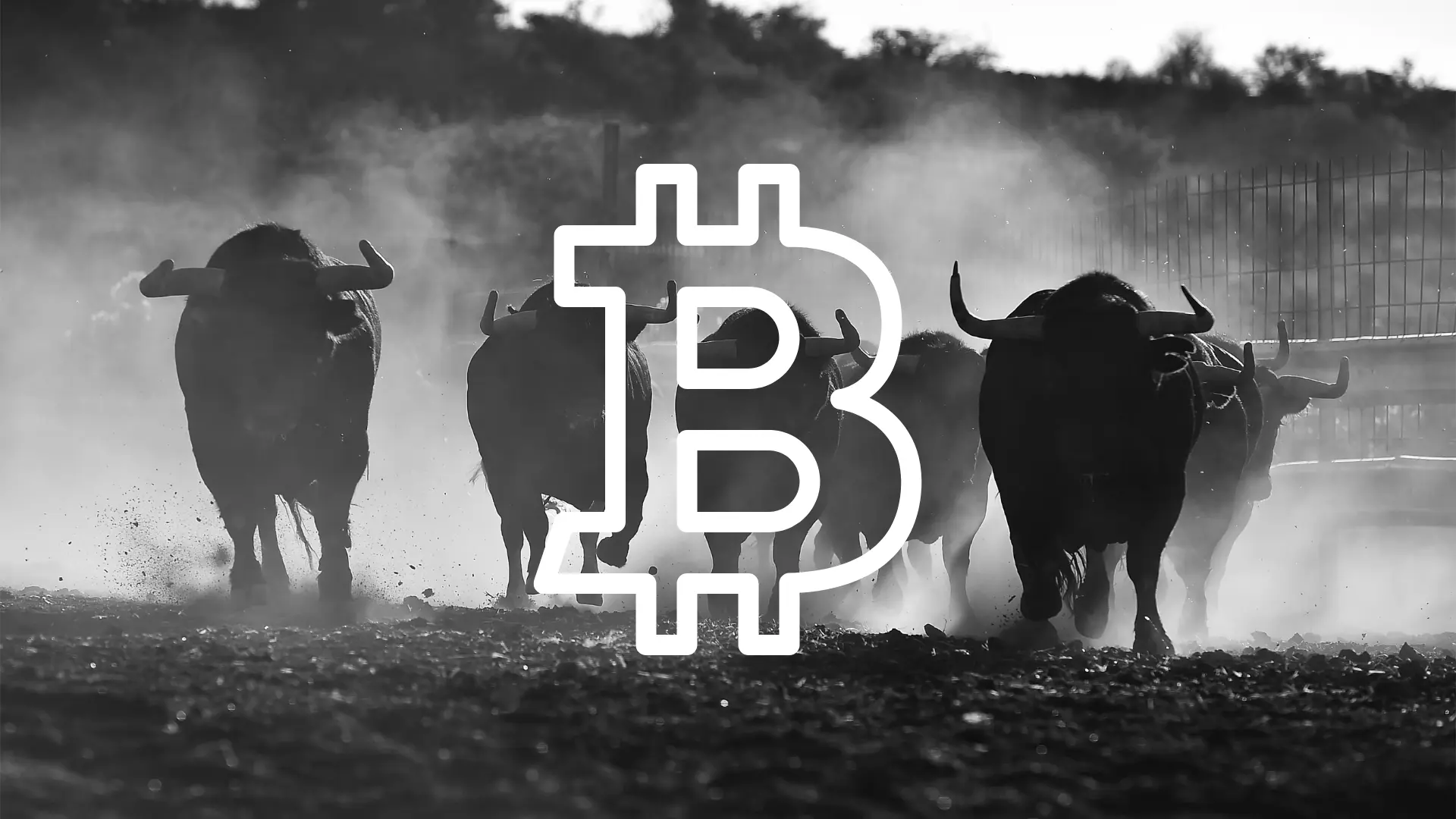 bitcoin boğa btc bull